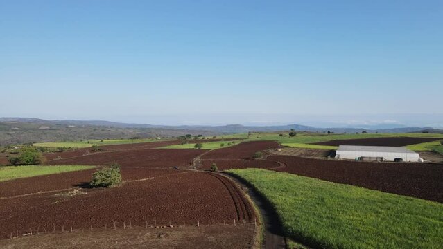 Agriculture industry in the state of Nayarit, Mexico