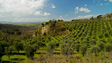 Panorama collinare della Val d'Orcia lungo il percorso ciclistico dell'Eroica. Provincia di Siena. Toscana , Italia - obrazy, fototapety, plakaty