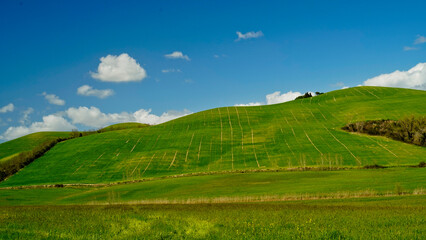 Panorama collinare della Val d'Orcia lungo il percorso ciclistico dell'Eroica. Provincia di Siena....