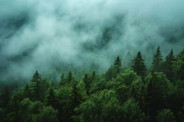 Foto op Plexiglas Foggy forest in the mountains,  Mountain landscape with fog © Nam