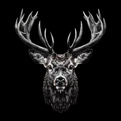Fotobehang Majestic regal deer head on a black background. Decorative illustration © Itana