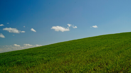 Panorama collinare della Val d'Orcia lungo il percorso ciclistico dell'Eroica. Provincia di Siena. Toscana , Italia
