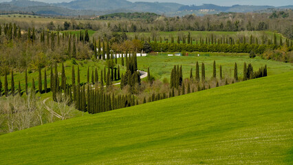 Panorama collinare della Val d'Orcia lungo il percorso ciclistico dell'Eroica. Provincia di Siena....