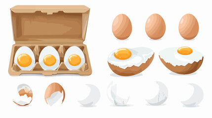 Vector collection of realistic eggs fried egg cardboa