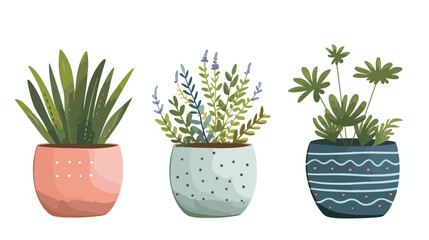 Vector design of plants in pots  Flat vector isolated
