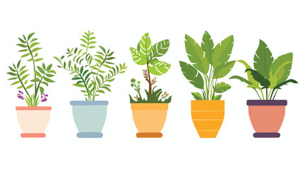 Vector design of plants in pots  Flat vector isolated