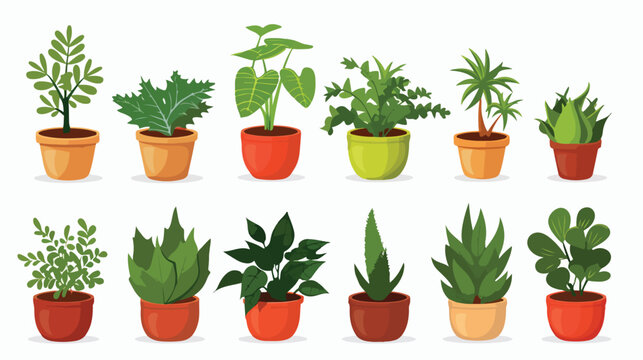 Vector design of plants in pots  Flat vector isolated