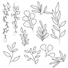 A collection of hand-drawn foliage for coloring pages. Nature linear icons. Botanical elements of unusual colors. Flat vector illustration. Branches, vines and leaves.
