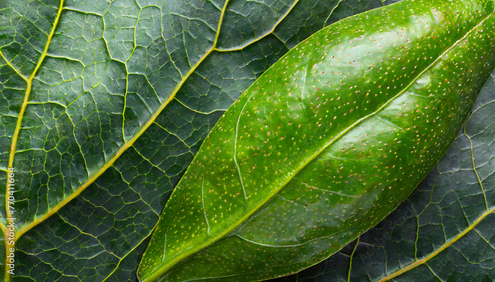 Poster avocado leaf macro texture. generative ai.