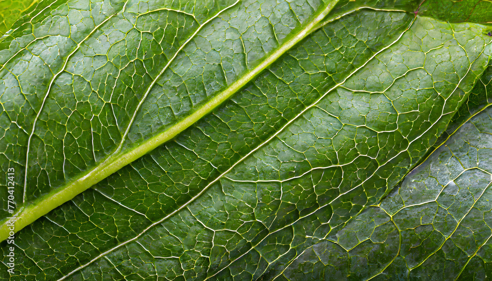Poster avocado leaf macro texture. generative ai.