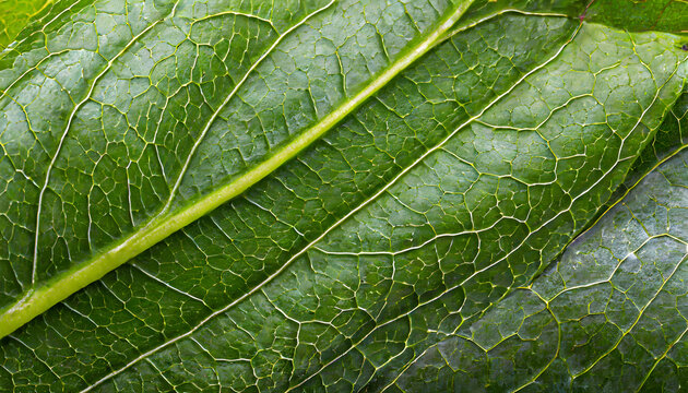 Avocado Leaf Macro Texture. Generative AI.
