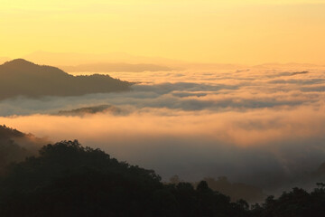 Morning mist in the middle of the western forest of Thailand
