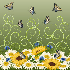 Pattern of butterflies and flowers. Sunflowers, daisies, cornflowers and butterflies on a colored background in a seamless vector pattern.