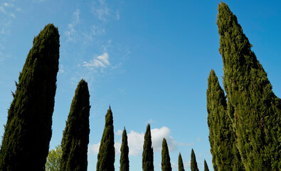 Panorama collinare della Val d'Orcia lungo il percorso ciclistico dell'Eroica. Provincia di Siena. Toscana , Italia