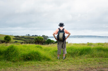 Man looking at the coastal views. Long Bay coastal Okura Track. Auckland.