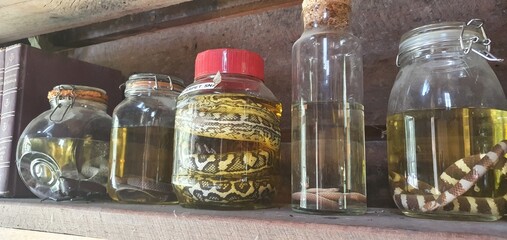 glass of snake