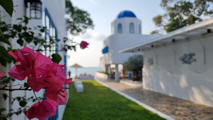 A white building stands tall against the sky, its blue dome gleaming in the sun. In the foreground, a vibrant pink flower adds a pop of color to the scene