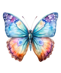 Obraz premium watercolor butterfly clipart