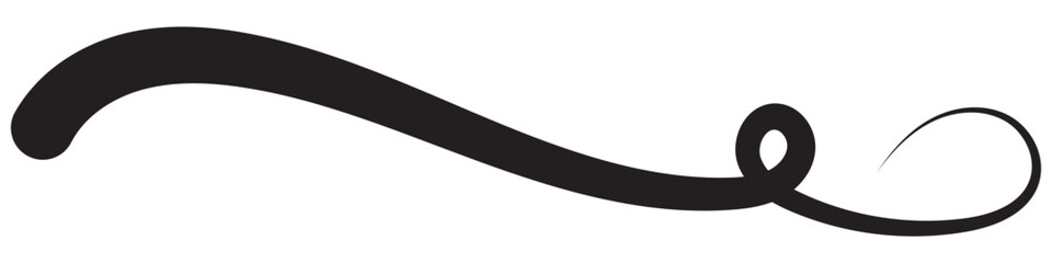 Swash swoop and swish calligraphy sign. Underlines hand drawn stroke. Vector Illustration