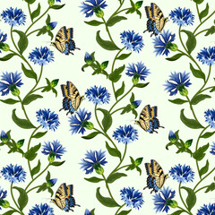 Pattern of cornflowers and butterflies. Bright cornflowers and butterflies on a white background in a color vector pattern.