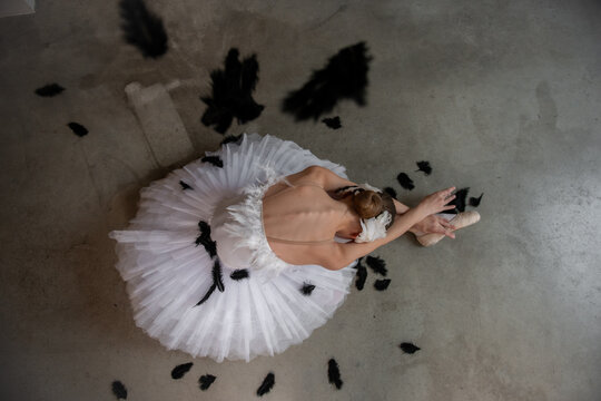Top view of Ballerina portrays dying swan in the Swan Lake Ballet. Ballet dancer in pointe shoes lies on the floor among black fallen feathers. Talented theater actress. Shadow light interior.