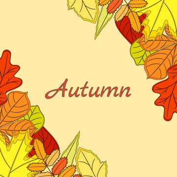 Autumn background from botanical leaves. Vector illustration.