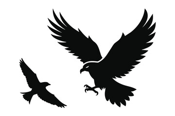 Fototapeta premium Eagle silhouette, flying bird silhouette on white background
