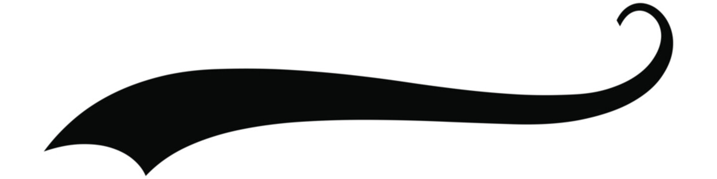 Swash swoop and swish calligraphy sign. Underlines hand drawn stroke. vector illustration.