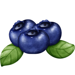 Blueberry 