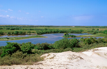 Parc ornithologique; domaine du Marquenterre; Baie de somme; région Picardie; 80, Somme, France