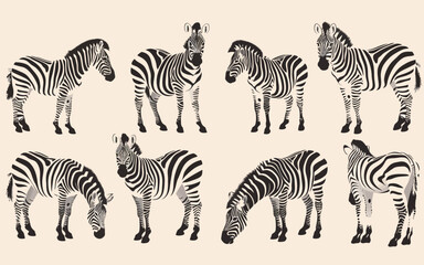 Fototapeta na wymiar Hand drawn zebra, black and white design, zebra tattoo sketch, hand drawn black animal engraving, vector illustration, SVG, perfect for t-shirts, mugs, birthday cards, wall stickers, stickers, iron-on