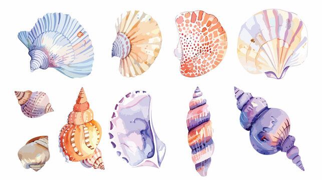 Watercolor Sea Shells Flat vector isolated on white background