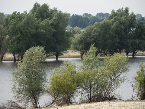 Sommerzeit am Rheindeich bei Bislich