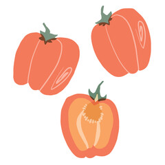 Bell pepper isolated on white background, illustration in collage style