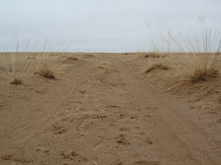 A very lonely desert road in Sukhbaatar province, Mongolia. The road is dusty, sandy, and serene...