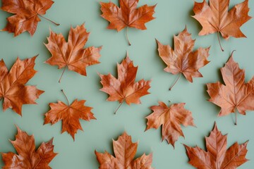 brown maple leaves on green backgroun - obrazy, fototapety, plakaty
