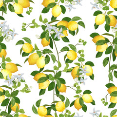Pattern of lemon branches with flowers. Lemon branches with fruits and flowers in a colored seamless pattern.