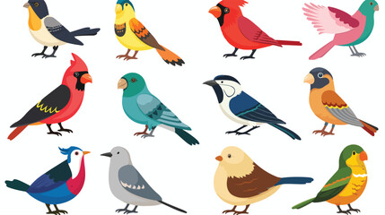 Cartoon birds collection set flat vector isolated on white