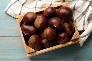 Obraz premium Roasted edible sweet chestnuts in crate on light blue wooden table, top view