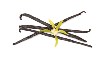 Aromatic vanilla pods and beautiful flower isolated on white, top view
