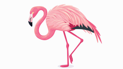 Cartoon flamingo bird flat vector isolated on white background