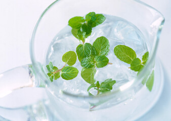 Close-up photo of aromatic minty herbs floats in a cocktail drink 