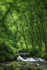 Fototapeta na wymiar stream in the forest