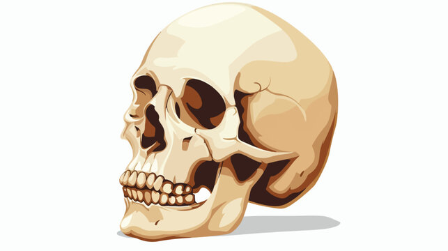 Skull flat vector isolated on white background