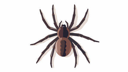 Spider Flat Icon Isolated On White Background flat vector