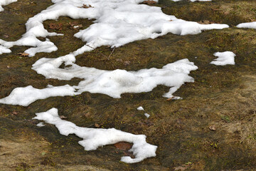Snow thawed areas in an early spring