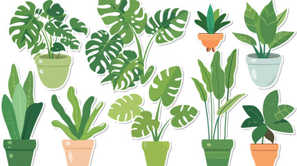 Sticker plant vector flat vector isolated on white background