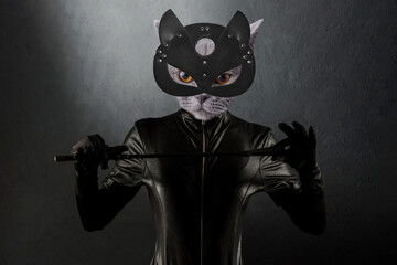 Contemporary art collage. Beautiful dominant mistress in latex body, gloves and cat head with leather fetish cat mask posing with riding crop - obrazy, fototapety, plakaty