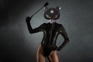 Contemporary art collage. Beautiful dominant mistress in latex body, gloves and cat head with...