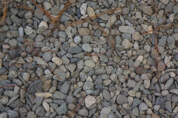 gravel unpaved area with pine needles